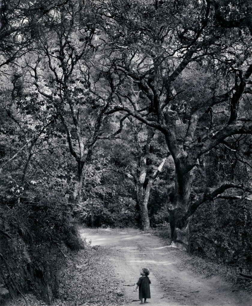 Wynn Bullock (American, 1902-1975) 'Child on Forest Road' 1958, printed 1973