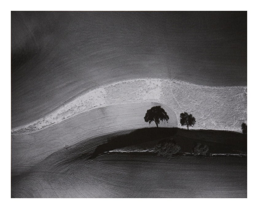William A. Garnett (1916-2006) 'Two Trees on Hill with Shadow, Paso Robles, CA' 1974