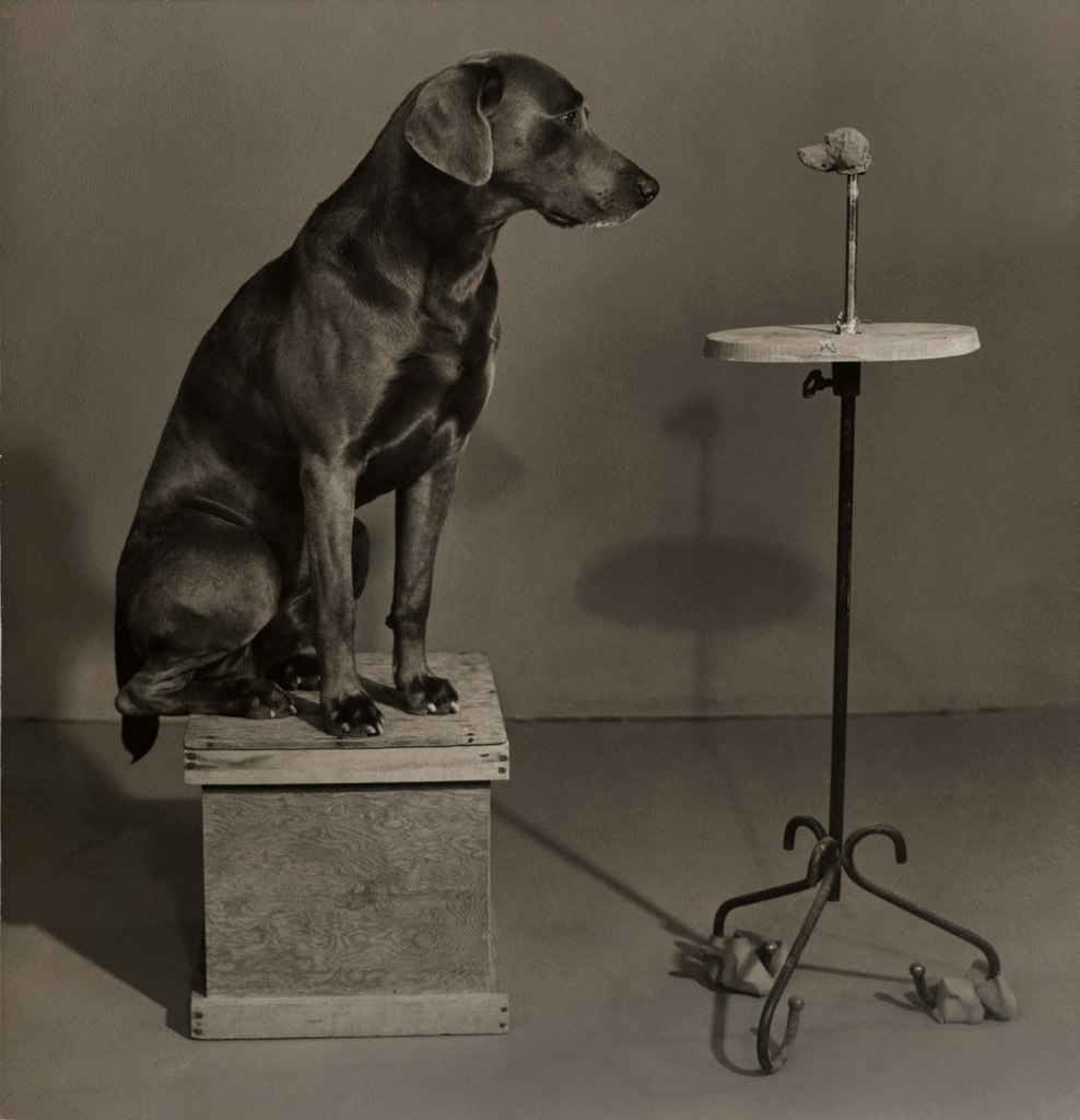 William Wegman (American, b. 1943) 'Contemplating the Bust of Man Ray from the portfolio Man Ray' 1976