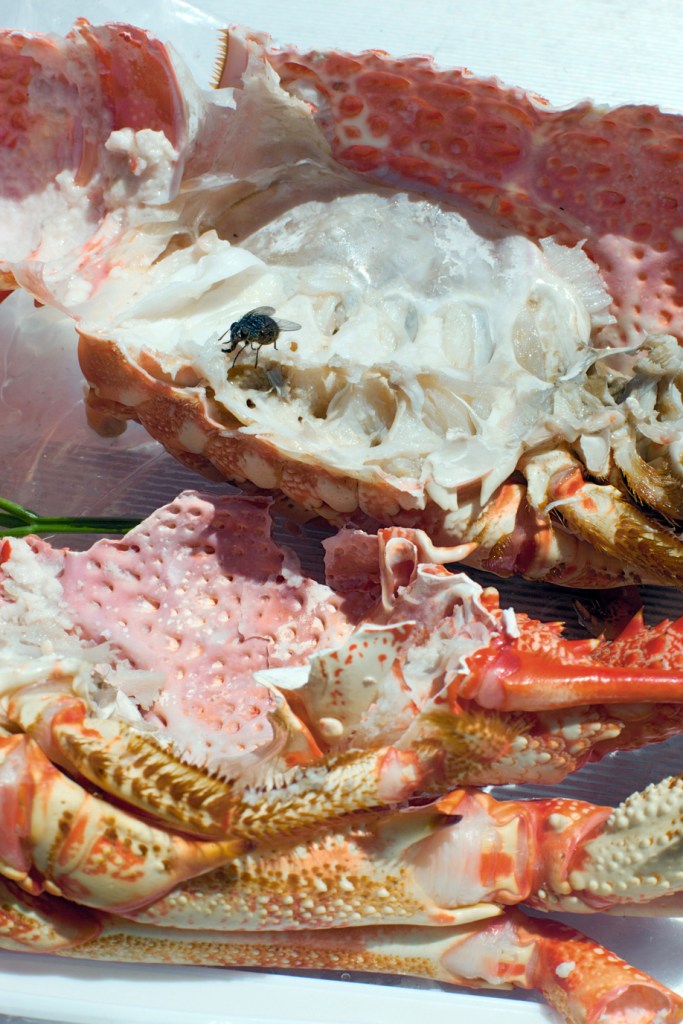 Wolfgang Tillmans (German, b. 1968) 'astro crusto, a' 2012