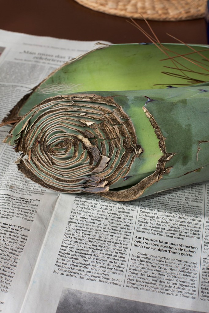 Wolfgang Tillmans (German, b. 1968) 'Still life, Calle Real II' 2013