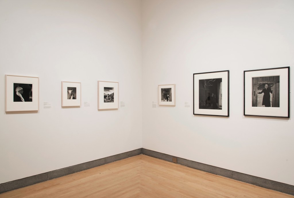Georgia O'Keeffe: Living Modern installation view