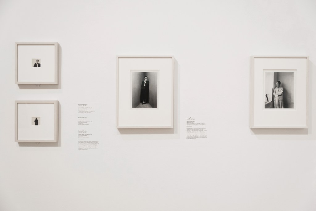 Georgia O'Keeffe: Living Modern installation view