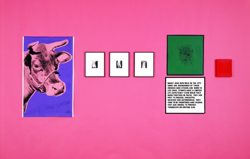 Louise Lawler. '(Andy Warhol and Other Artists) Tulip' 1982