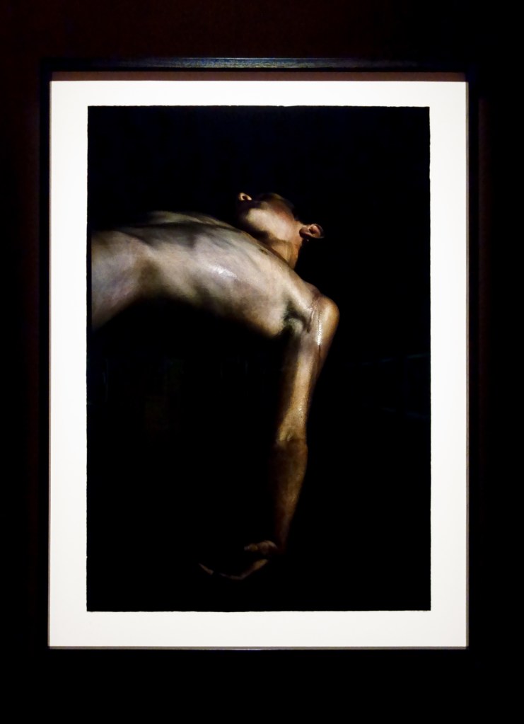 Bill Henson (Australian, b. 1955) 'Untitled' 2012/13 (installation view)
