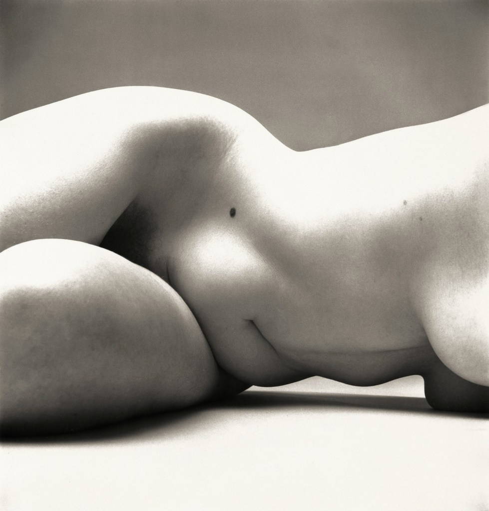 Irving Penn (American, Plainfield, New Jersey 1917-2009 New York) 'Nude No. 72' 1949-1950, printed 1949-1950