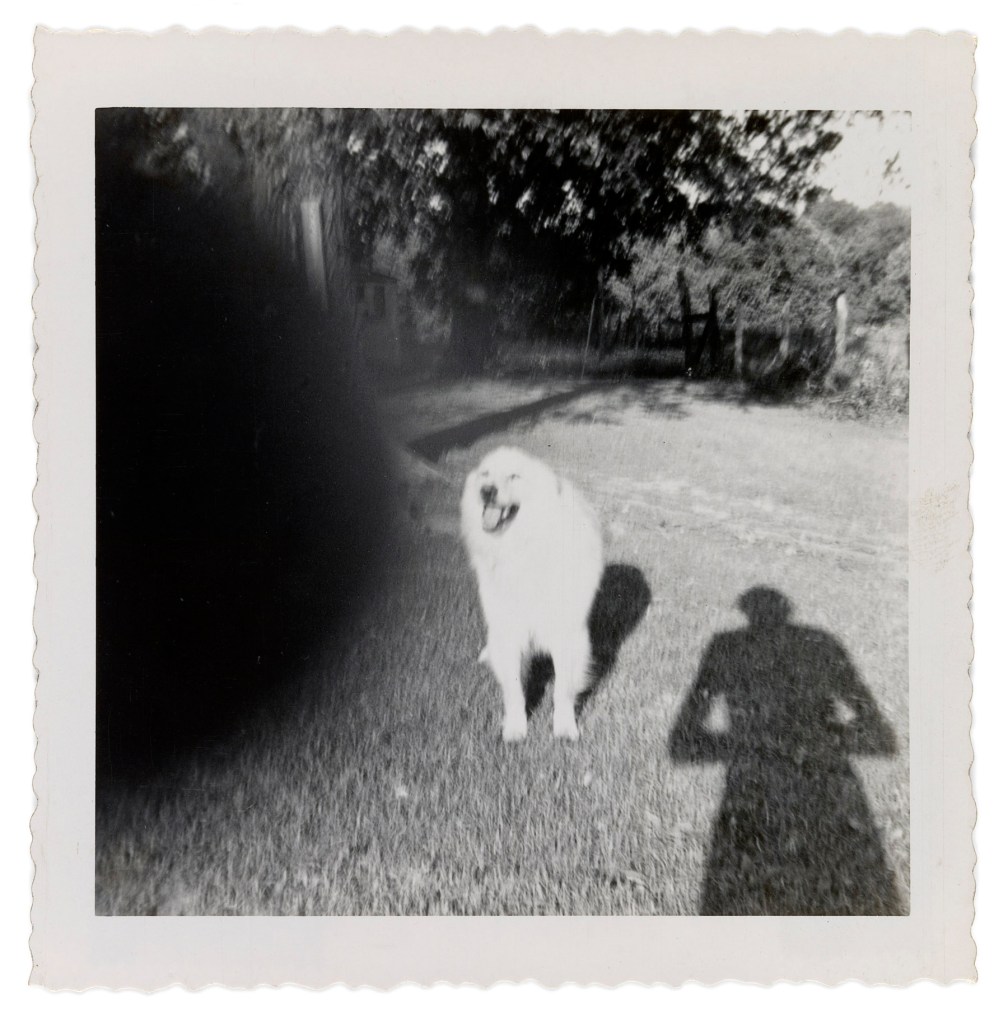 Patrick Pound (New Zealander/Australian 1962- ) 'The hand of the photographer' (detail) 2007-2017