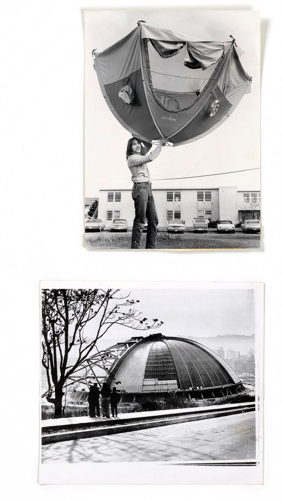 Patrick Pound (New Zealander/Australian 1962- ) 'Portmanteau' 2015-2017