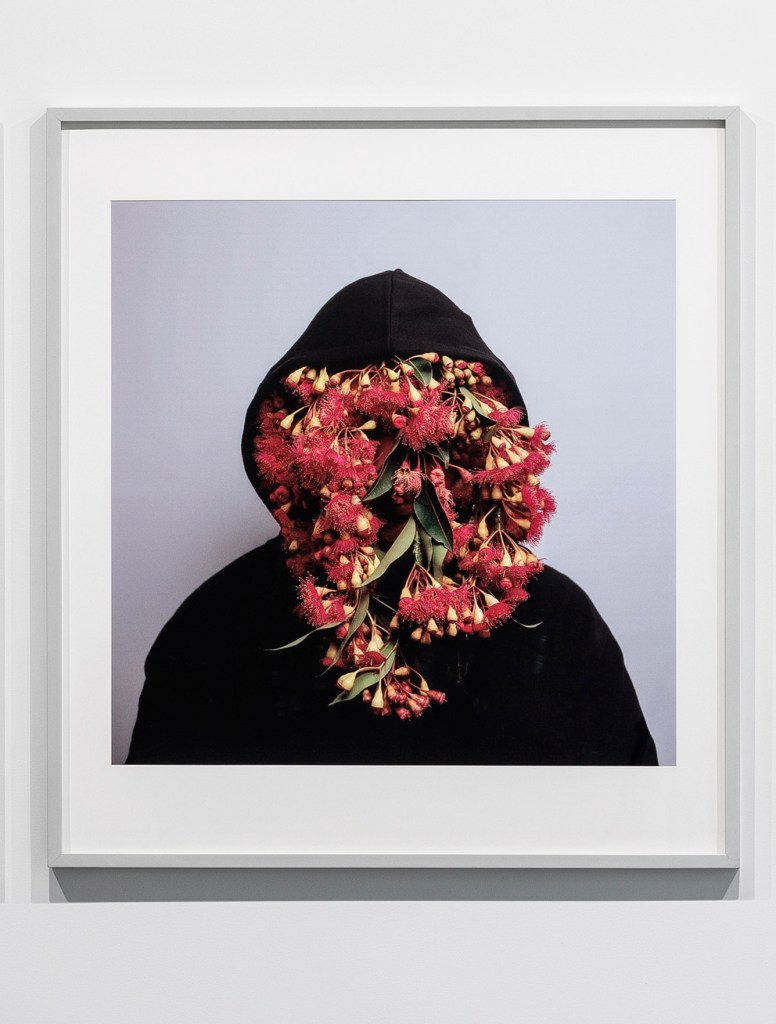 Christian Thompson (Australian, b. 1978) 'Black gum 2' 2007 (installation view)