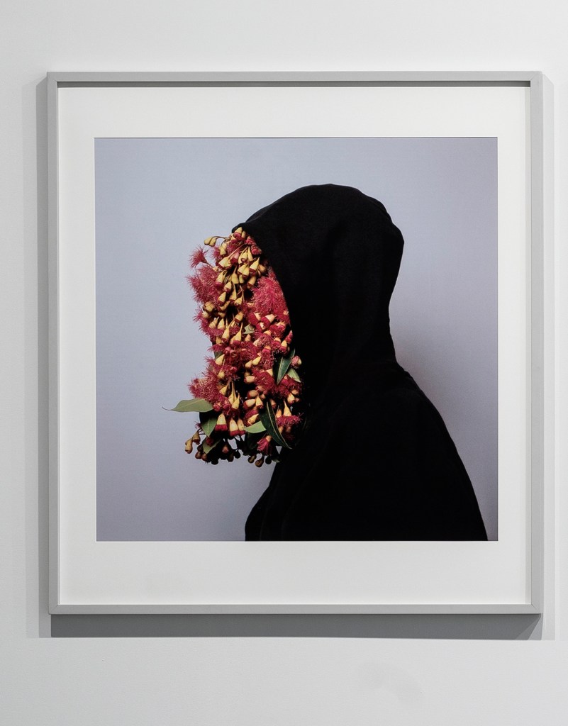 Christian Thompson (Australian, b. 1978) 'Black gum 1' 2007 (installation view)