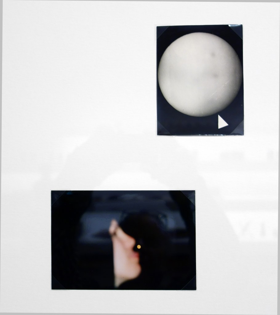 Patrick Pound (New Zealander/Australian, b. 1962) 'Portmanteau' 2015-2017 (installation view detail)