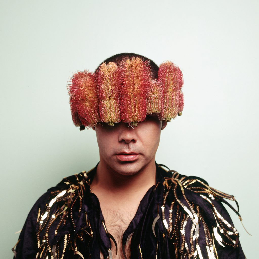 Christian Thompson (Australian, b. 1978) 'Untitled (banksia)' 2007