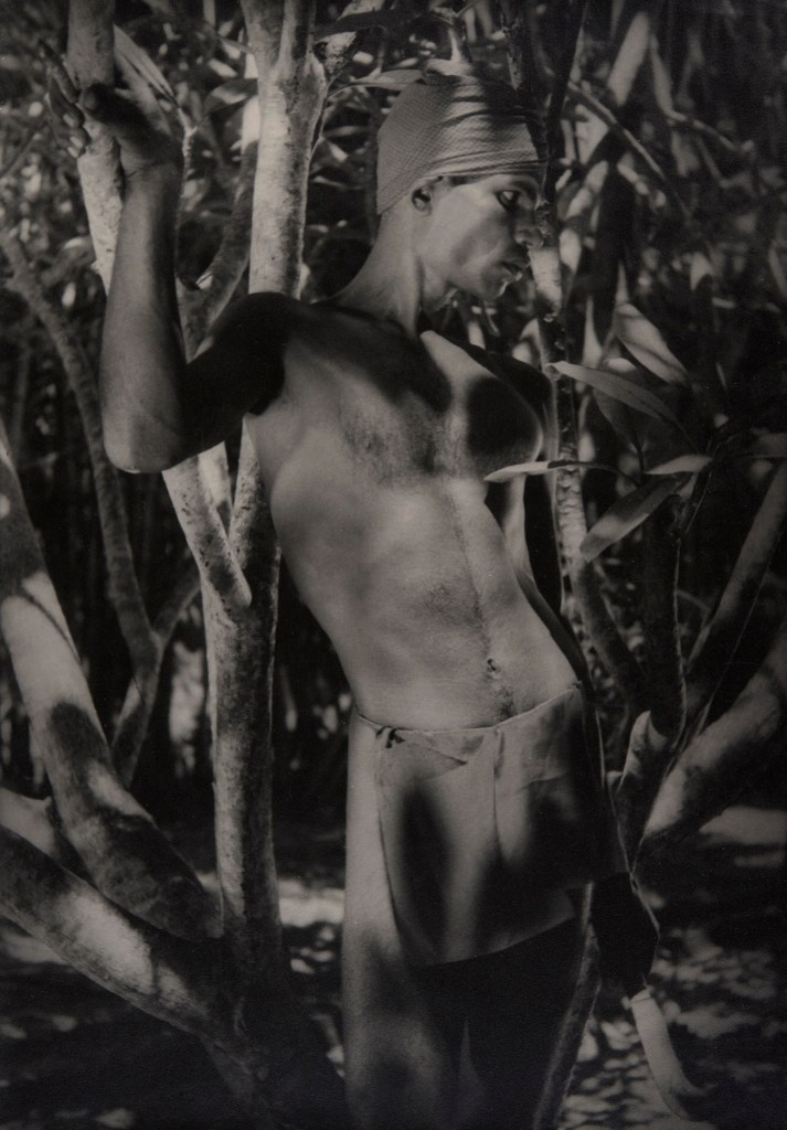 Lionel Wendt (Sri Lankan, 1900-1944) 'No title' Nd