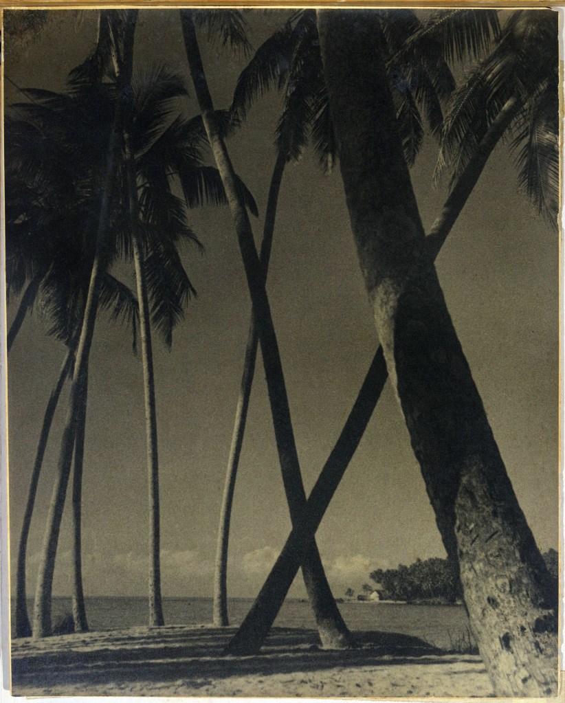 Lionel Wendt (Sri Lankan, 1900-1944) 'No title' Nd