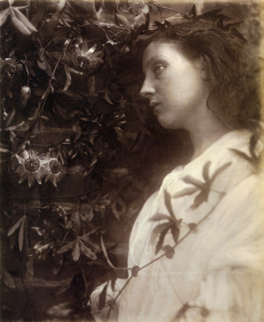 Julia Margaret Cameron (British, 1815-1879) 'Maud "There has Fallen a splendid Tear From the Passion Flower at the Gate"' 1875 Julia Margaret Cameron (British, 1815-1879) 'Maud "There has Fallen a splendid Tear From the Passion Flower at the Gate"' 1875