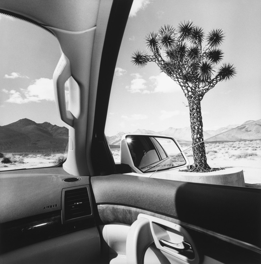 Lee Friedlander (American, b. 1934) 'California' 2008
