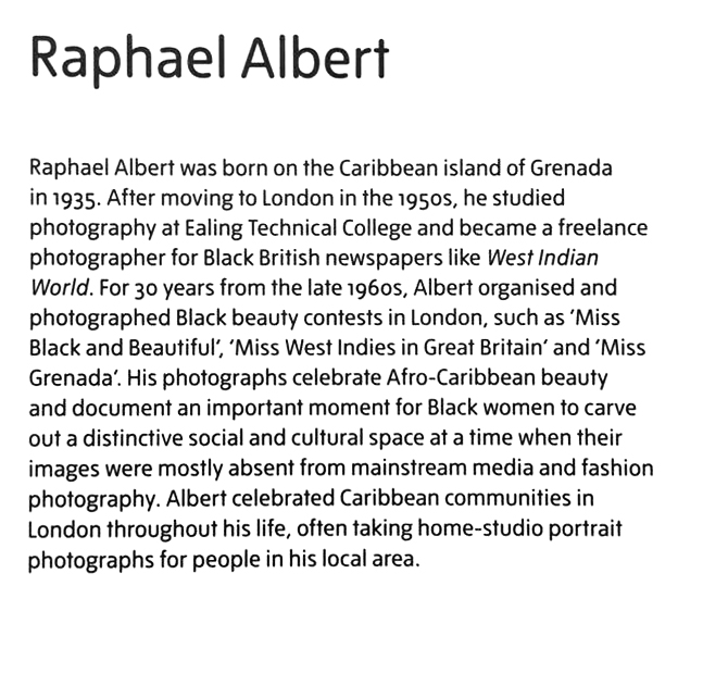 Raphael Albert wall text from the display