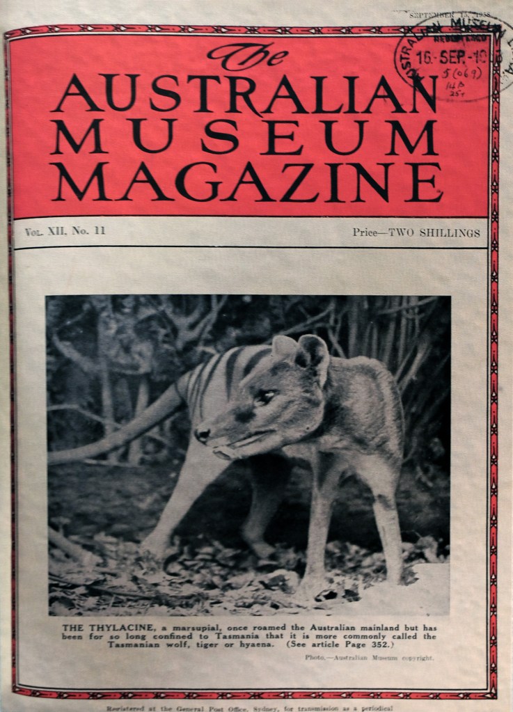 Installation view of the exhibition 'An Unorthodox Flow of Images' at the Centre for Contemporary Photography (CCP), Melbourne, September - November 2017 showing (141) Harry Burrell's 'Thylacine or Tasmanian Tiger', cover image for 'The Australian Magazine' 1958, September, Vol 12, No 11 1958