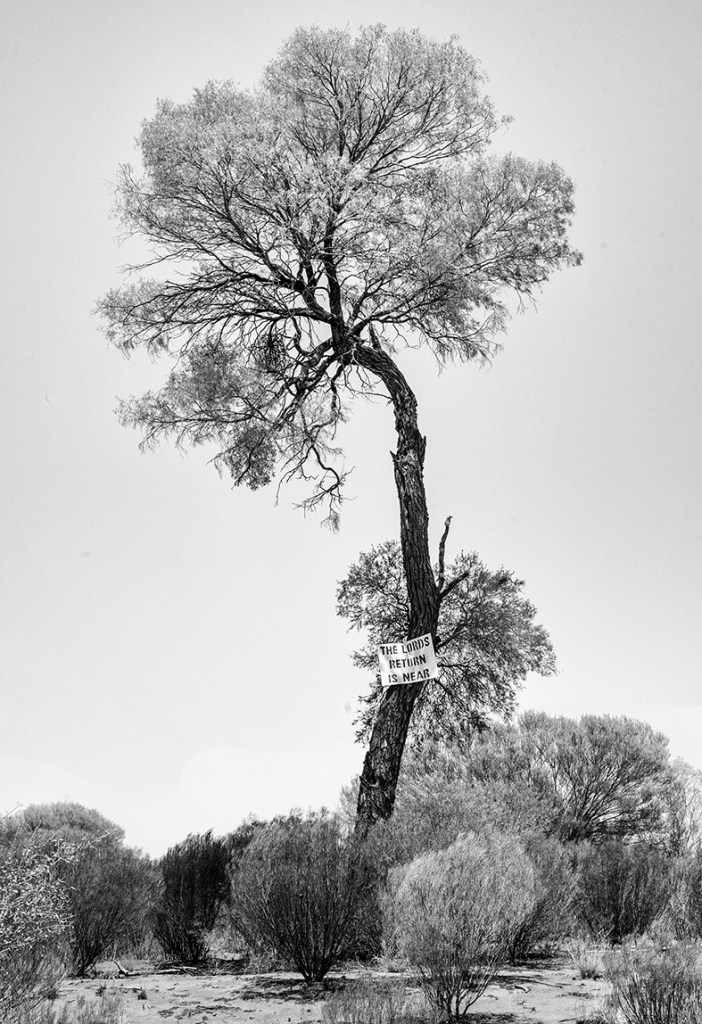 Judith Crispin (Australian / Bpangerang, b. 1970) 'The Lord's Return is Near' 2014