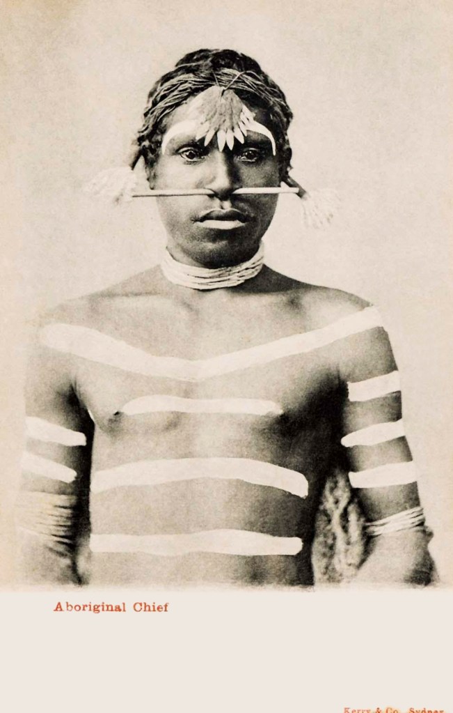 Kerry & Co., (Sydney) 'Aboriginal chief' c. 1900-1917