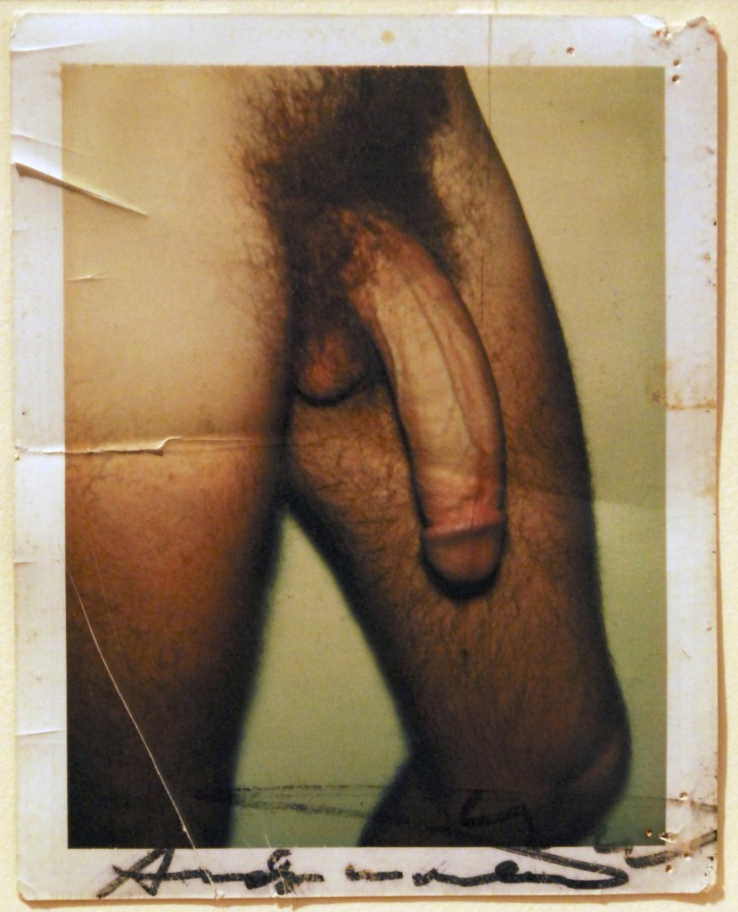 Andy Warhol (United States, 1928-1987) 'Untitled (Victor Hugo's Penis)' Date unknown
