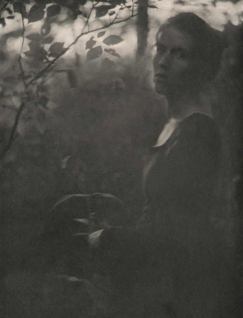 Clarence H. White (1871-1925) "At the Edge of the Woods - Evening" 1901