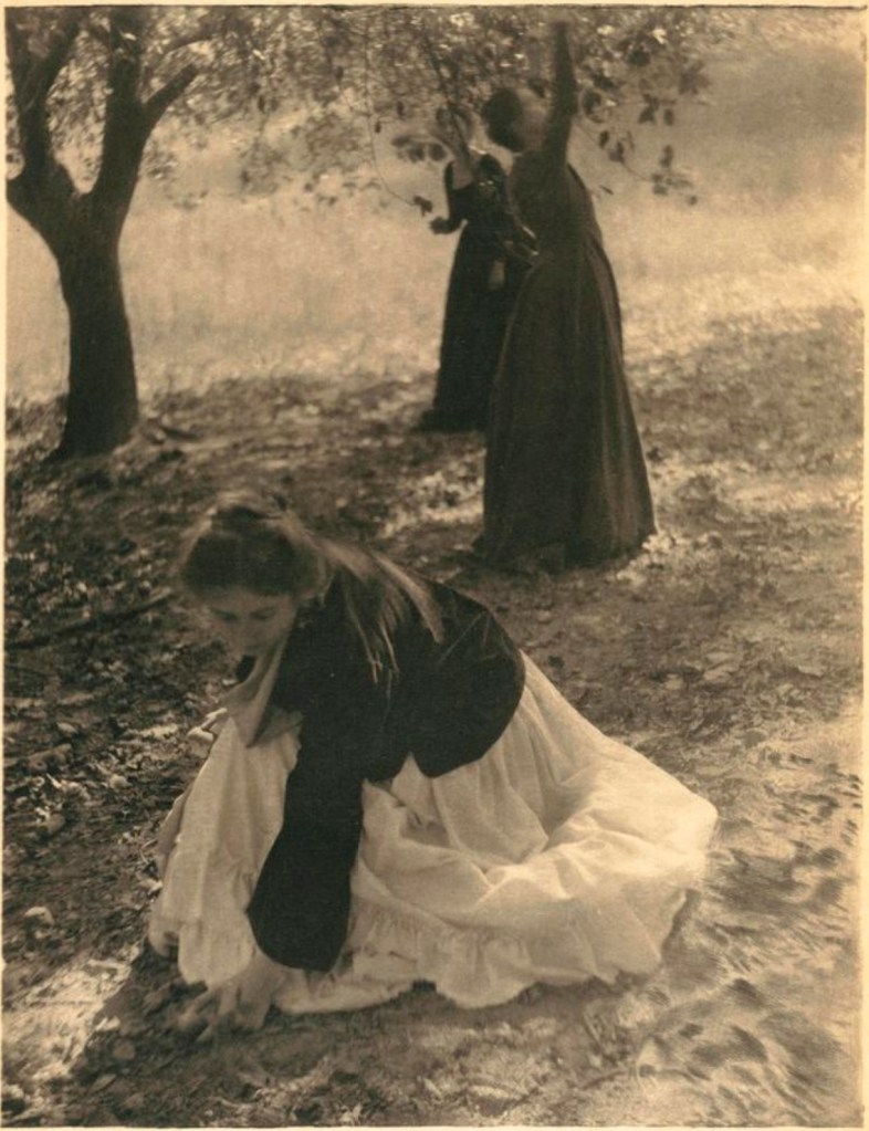 Clarence H. White (American, 1871-1925) 'The Orchard' 1902