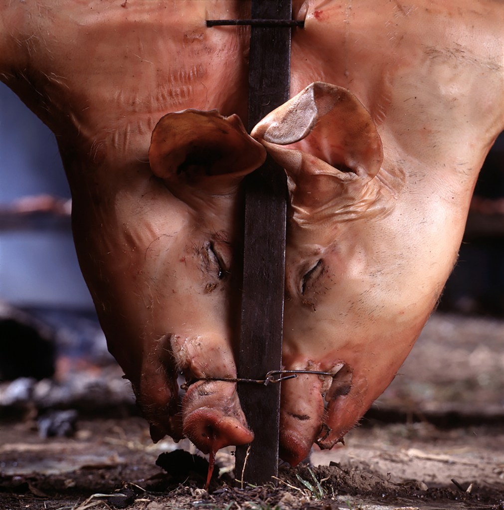 Alessandra Sanguinetti (American, b. 1968) 'Untitled' 1996-2004