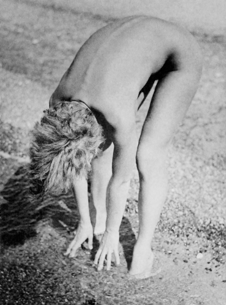 Raoul Hausmann (Austrian, 1886-1971) 'Untitled' 1931 Raoul Hausmann (Austrian, 1886-1971) 'Untitled' 1931