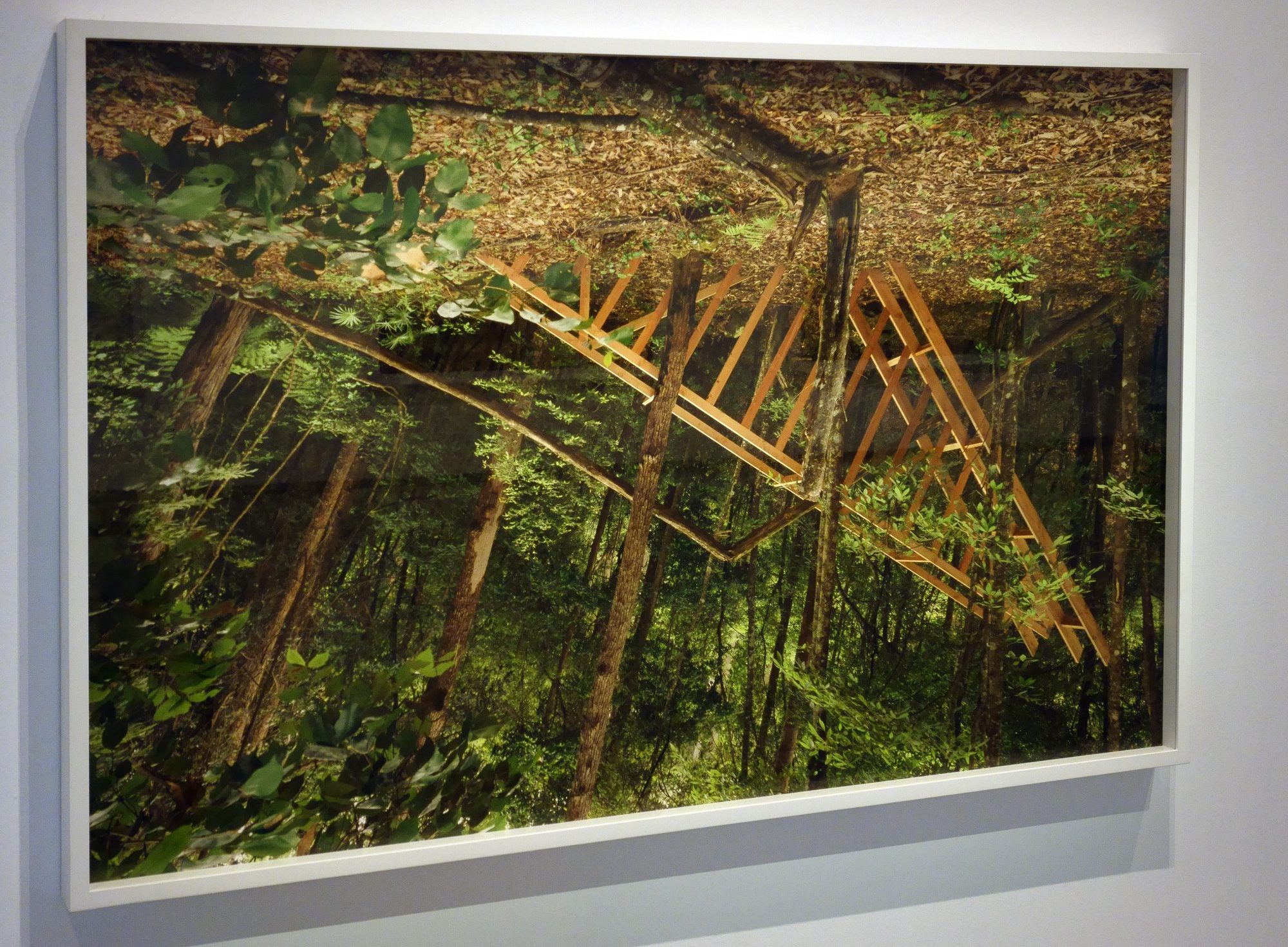 Installation view of the exhibition 'Rosemary Laing' at the TarraWarra Museum of Art showing the work 'Walter Hood' (2017) from the series 'Buddens'