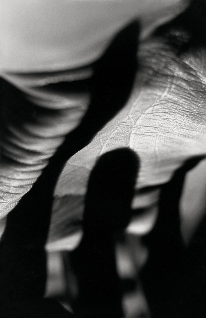 Zbigniew Dłubak (Polish, 1921-2005) 'I recall the solitude of the straits' 1948 from the exhibition 'Zbigniew Dłubak – Heir of the Avant-Garde' at Fondation Henri Cartier-Bresson, Paris, Jan - April, 2018