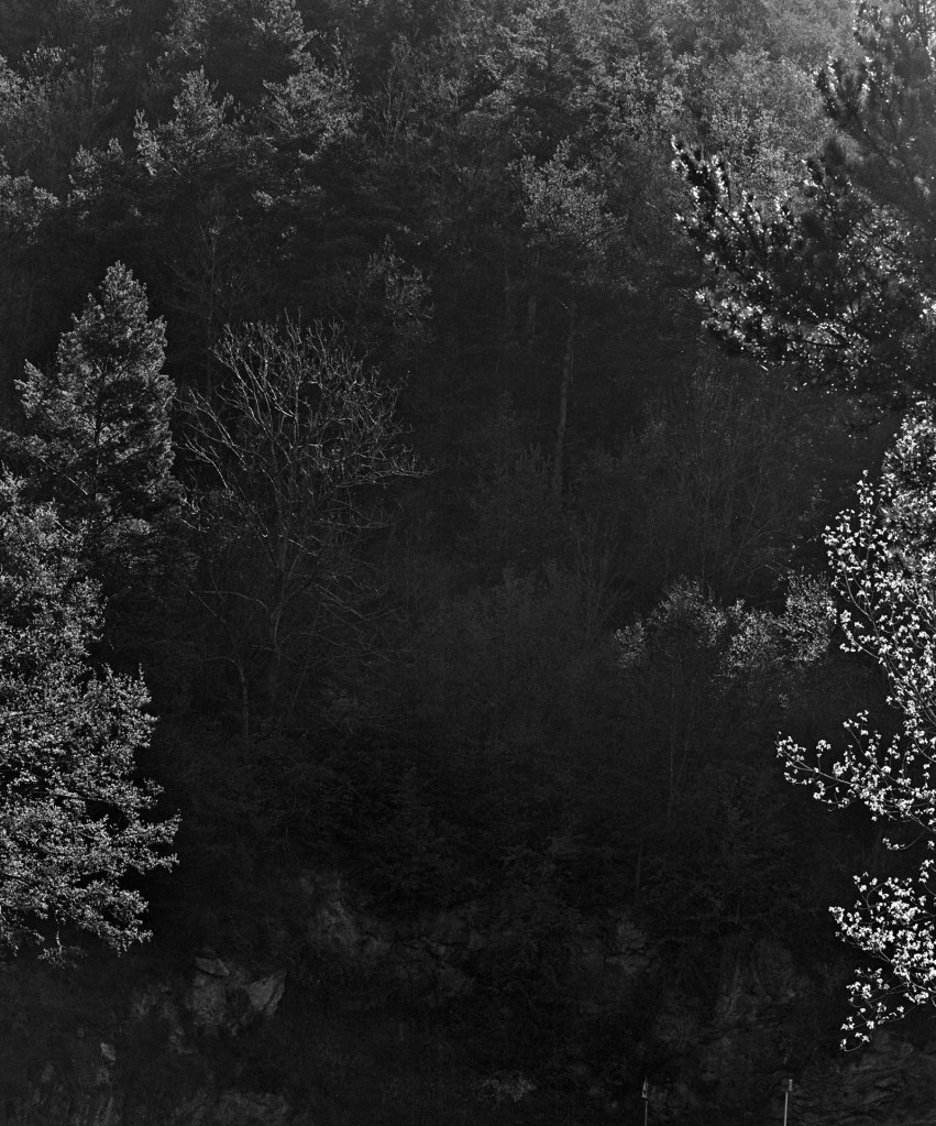 Awoiska van der Molen (Dutch, b. 1972) '#274-5' 2011