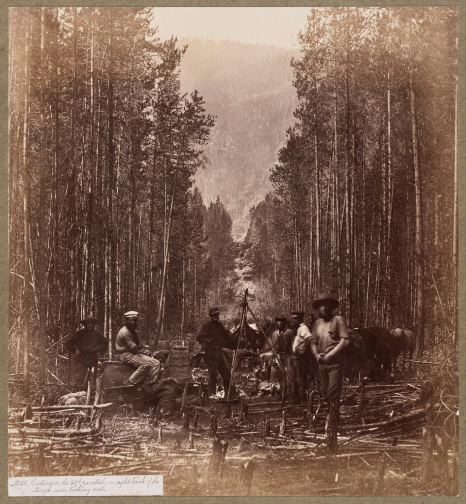 Royal Engineers. 'Cutting on the 49th Parallel, on the Right Bank of the Mooyie River Looking West' about 1860 from the exhibition 'Into the Woods: Trees in Photography' at the Victoria and Albert Museum, London, Nov 2017 - April 2018