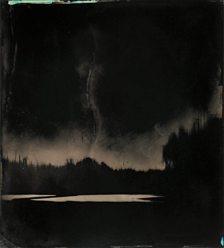 Sally Mann (American, b. 1951) 'Blackwater 9' 2008-2012