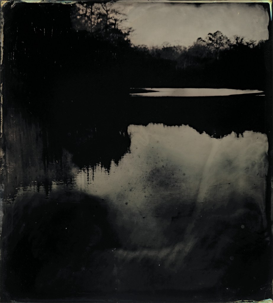 Sally Mann (American, b. 1951) 'Blackwater 17' 2008-2012