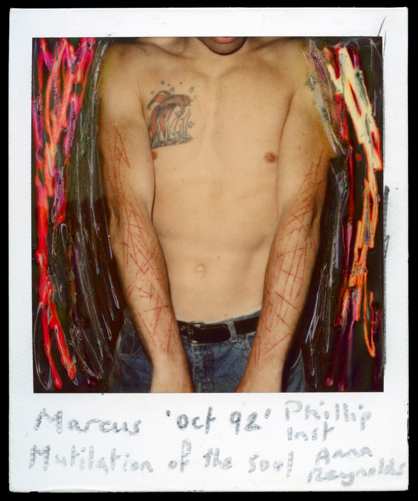 Anna Reynolds. 'Marcus / Mutilation of the Soul' October 1992