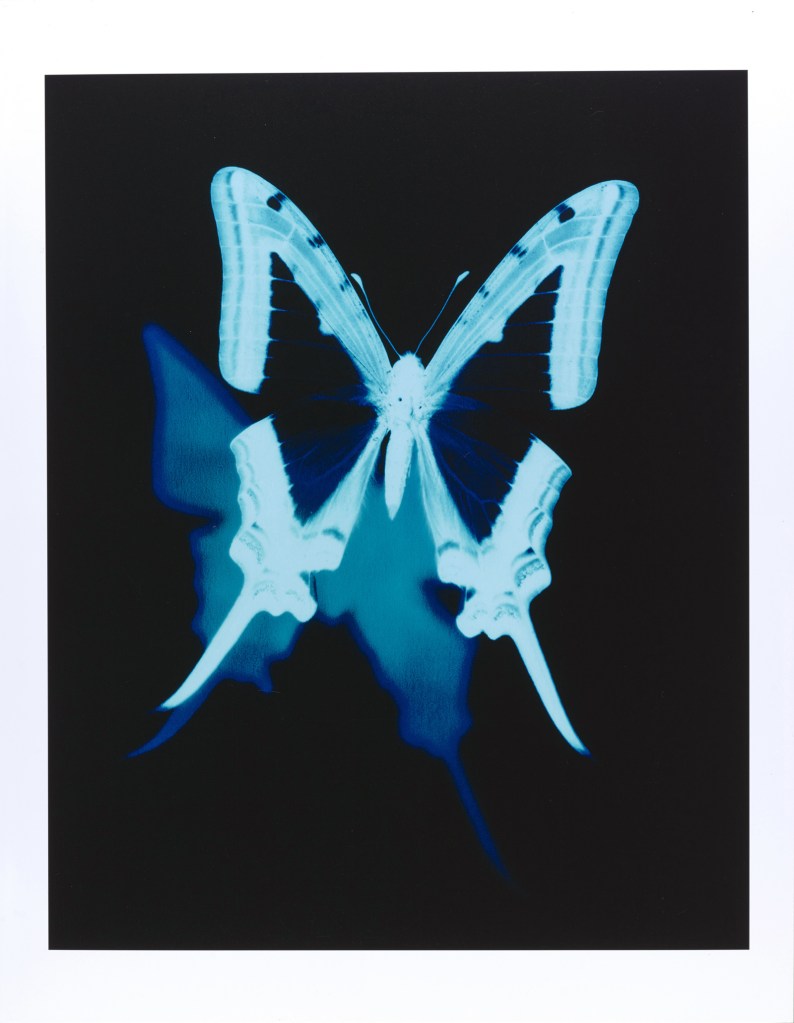 Kunihiro Shinohara (Japanese, b. 1948) 'Cosmic #9' 1993-2000