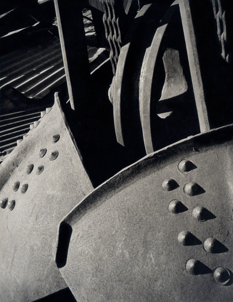 Minor White (American, 1908-1976) 'Design' 1939