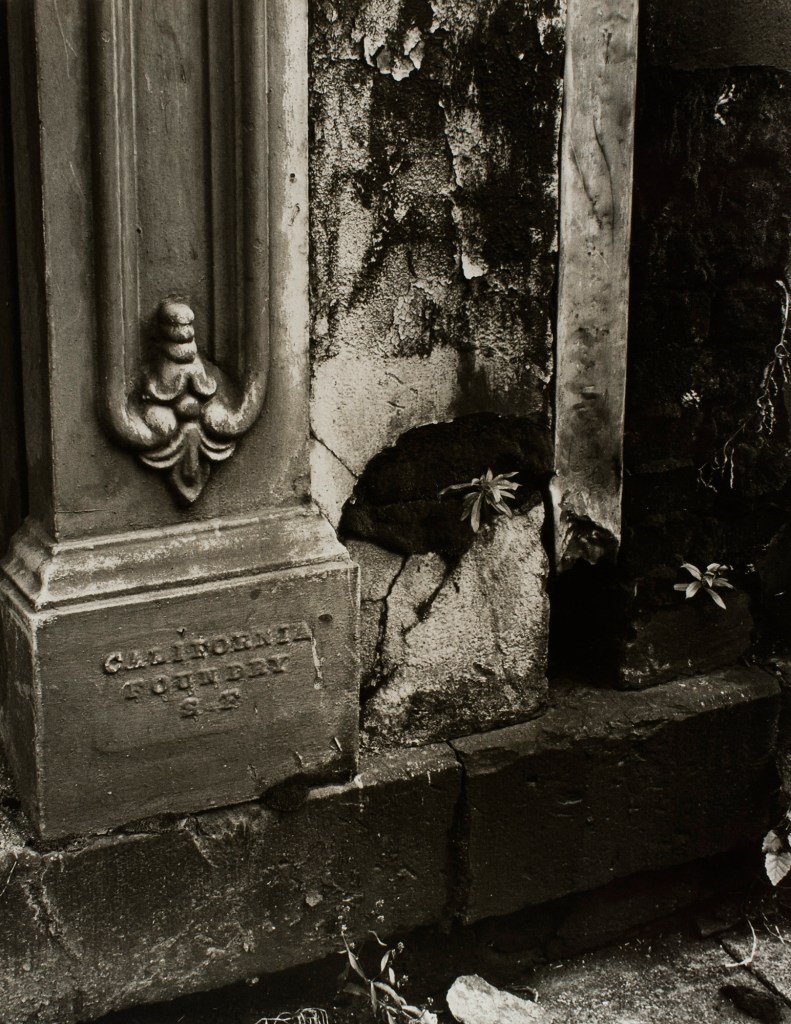 Minor White (American, 1908-1976) 'Detail (California Foundry)' c. 1939