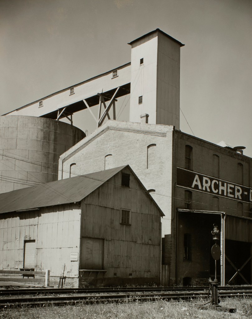Minor White (American, 1908-1976) 'Plane Study' c. 1939