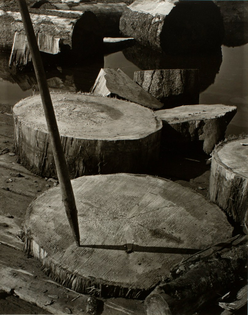 Minor White (American, 1908-1976) 'Lily Pads and Pike' c. 1939