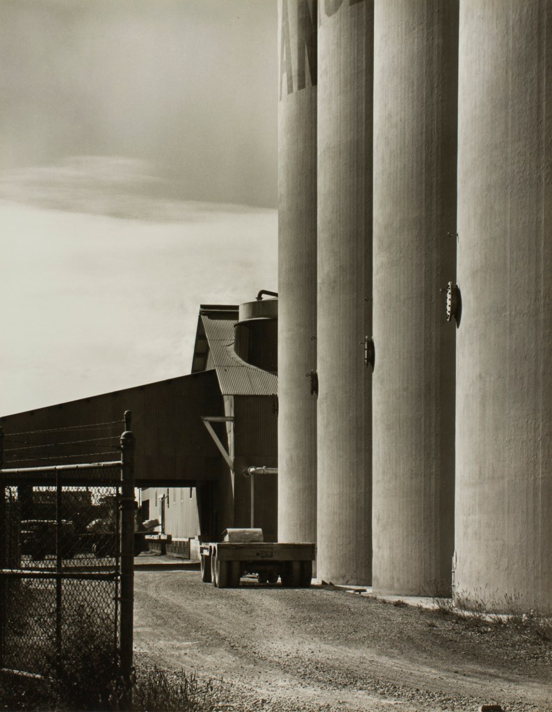 Minor White (American, 1908-1976) 'Plane Study' c. 1939 from the exhibition 'In the Beginning: Minor White's Oregon Photographs' at the Portland Art Museum Phase 1, Dec 2017 - May 2018