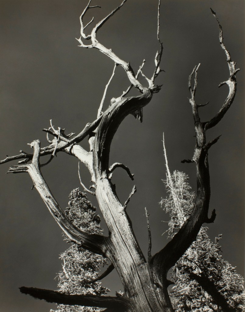 Minor White (American, 1908-1976) 'Ice Lake' 1940