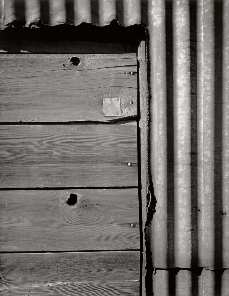 Minor White (American, 1908-1976) 'The Patch' c. 1939