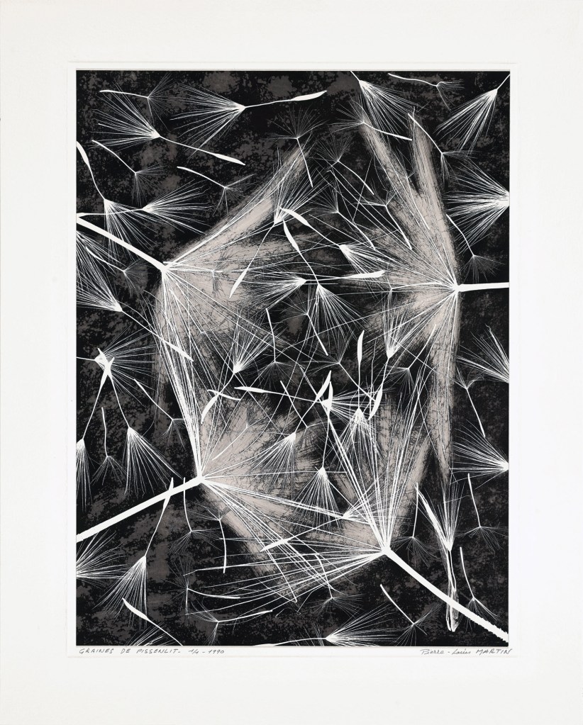 Pierre-Louis Martin. 'Graines de Pissenlit' 1990