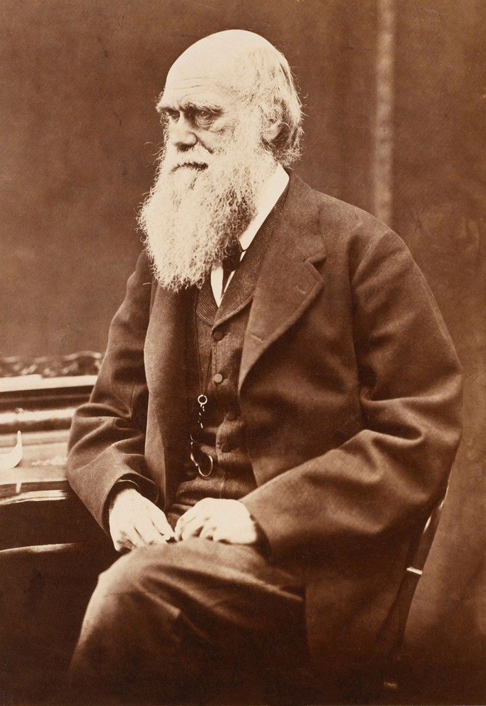 Oscar Rejlander (British born Sweden, 1813-1875) 'Charles Darwin' 1871