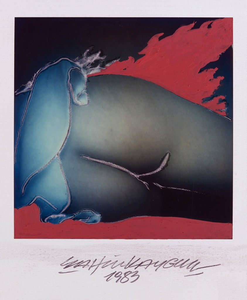 Şahin Kaygun (Turkish, 1951-1992) 'Buttock' 1983