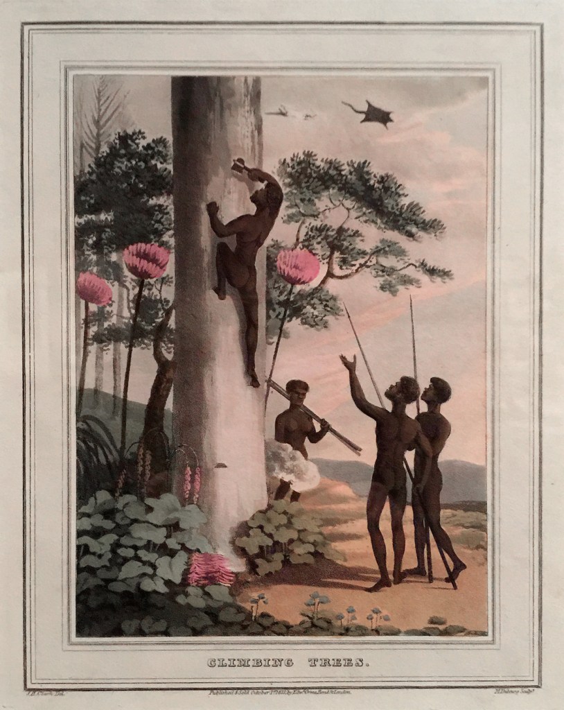 John Heaviside Clark (draughtsman Scotland 1770-1863, England 1801-32) Matthew Dubourg (engraver active in England 1786-1838) 'Climbing trees' 1813 (installation view)