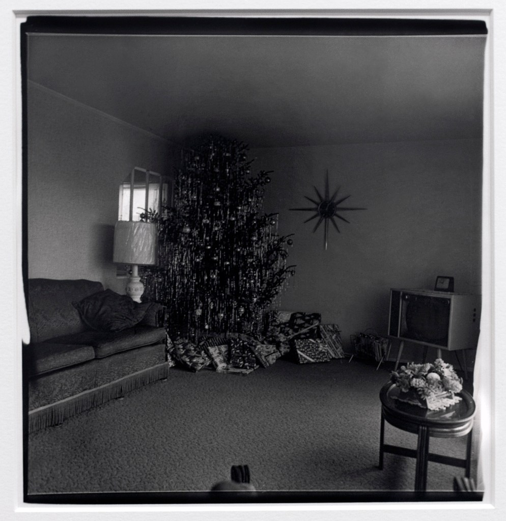 Diane Arbus (American, 1923-1971) 'Xmas tree in a living room in Levittown, L.I. 1963' 1963 National Gallery of Australia, Canberra from the exhibition 'Diane Arbus: American Portraits' at the Heide Museum of Modern Art, Melbourne, March - June, 2018