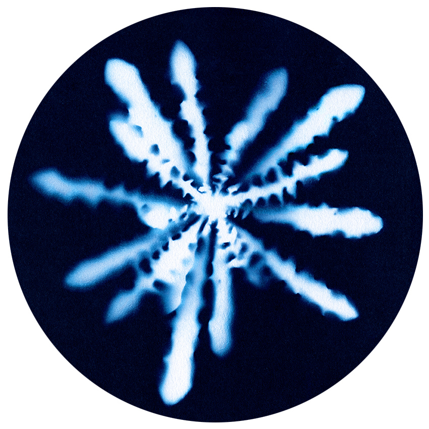 Carolyn Lewens (Australian, b. 1948) 'Fast Burst' 2017